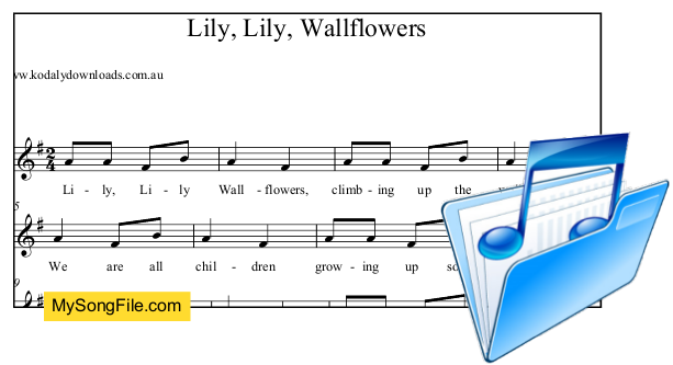 Lily Lily Wallflowers