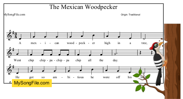 Mexican Woodpecker (3/4)