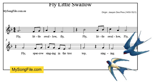 Fly Little Swallow